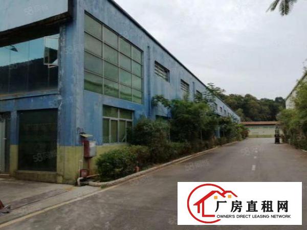  东城新出12米单一层，只租15元，500平起大小可分，环境好