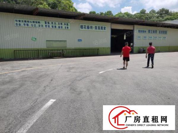  东城新出12米单一层，只租15元，500平起大小可分，环境好