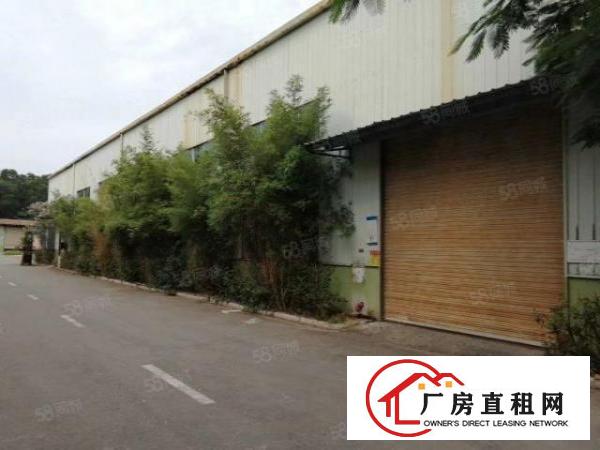  东城新出12米单一层，只租15元，500平起大小可分，环境好