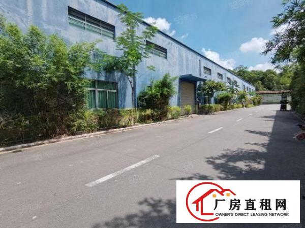  东城新出12米单一层，只租15元，500平起大小可分，环境好