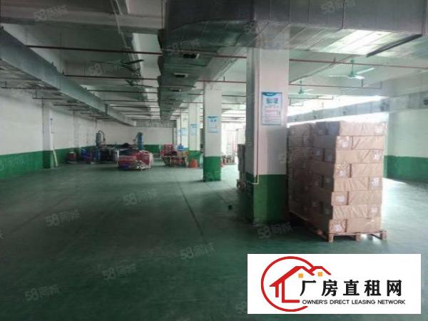  东城原房东独门独院厂房出租，形象漂亮现成装修人流量大易招工。
