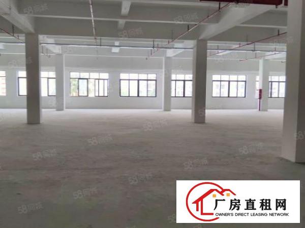  东城独院厂房分租1000平,现成装修形象好！