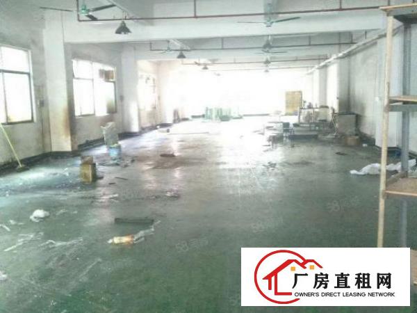  东城温塘莞温路联益工业园新出厂房出租，独门独院，豪华装修