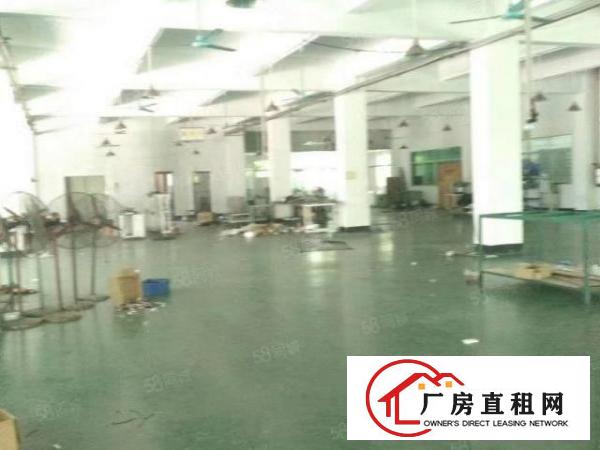  东城温塘莞温路联益工业园新出厂房出租，独门独院，豪华装修