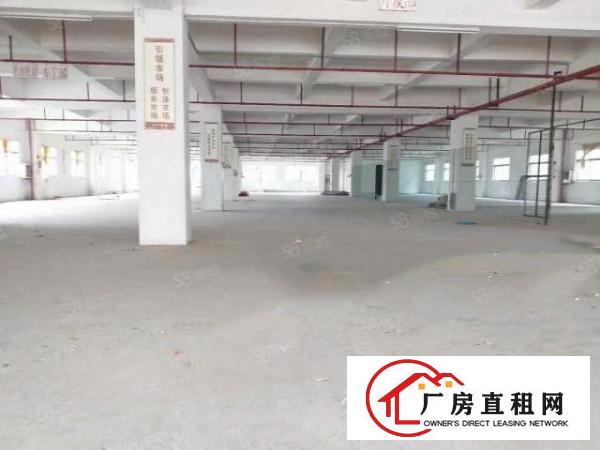 东城桑园原房东标准独院厂房分租1000平方.