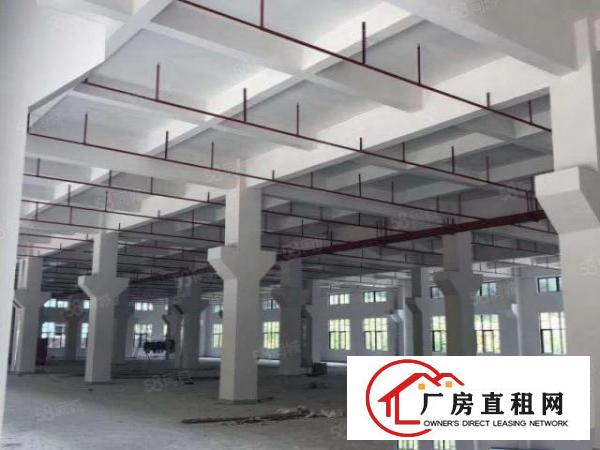  桑园科技园独院1万平方,可分租，形象好空地大