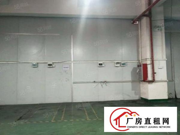  东城桑园茶叶市场附近新出楼上650平精装修带地坪漆，租11元