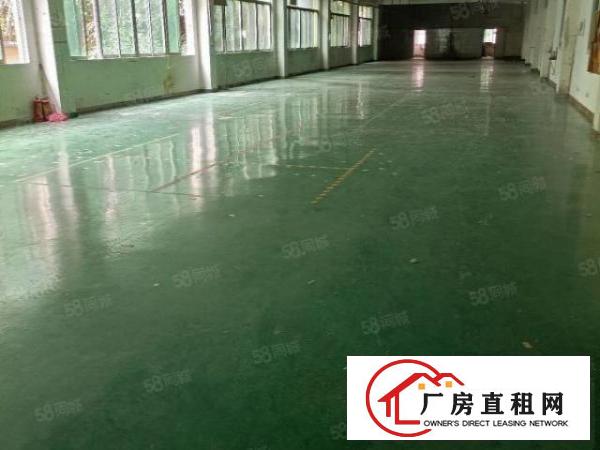  东城桑园茶叶市场附近新出楼上650平精装修带地坪漆，租11元