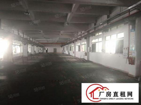  工业区一楼标准厂房出租