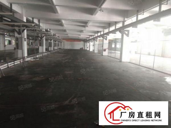  工业区一楼标准厂房出租