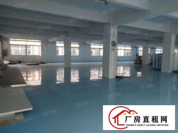  东莞东城新出无尘车间带地坪漆装修办公室拎包入住