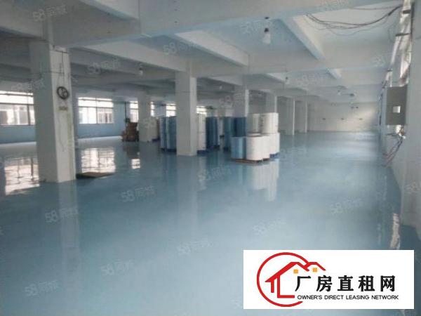  东莞东城新出无尘车间带地坪漆装修办公室拎包入住