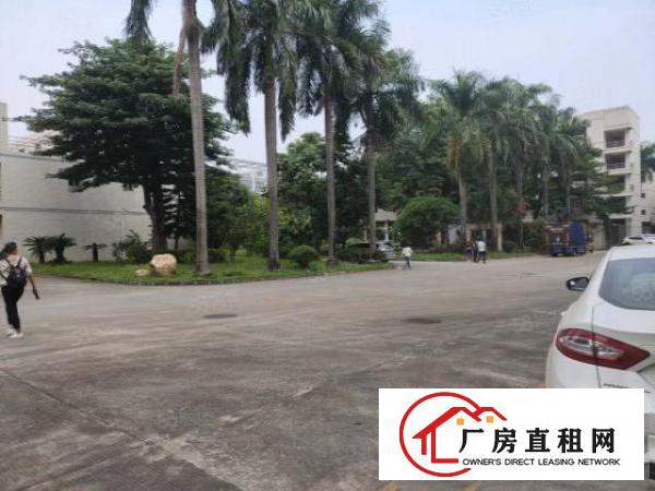  东城街道桑园原房东13层9000平方整租15