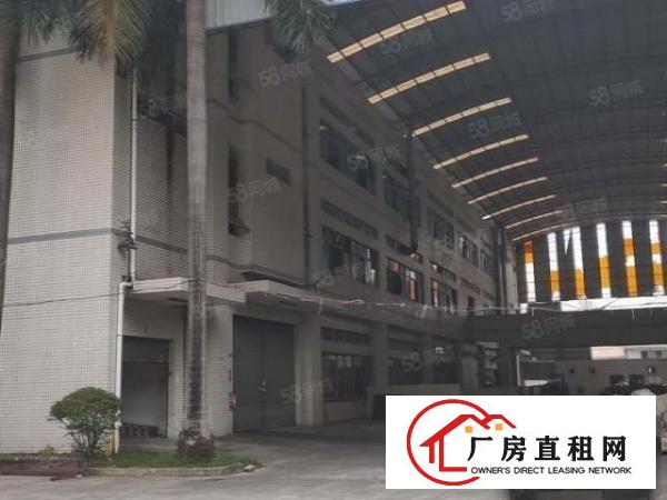  东城街道桑园原房东13层9000平方整租15