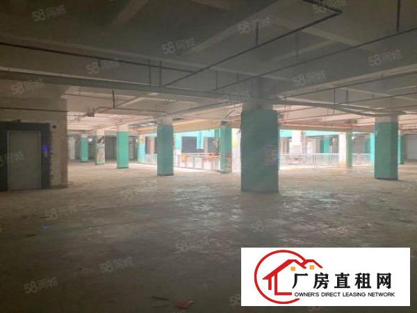  东城街道桑园原房东13层9000平方整租15