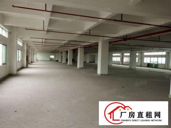  东城原房东独院厂房出租3000平方,九成新租金便宜