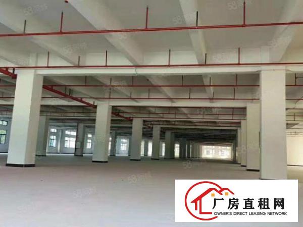  标准独院厂房出租6600国有土地可分租
