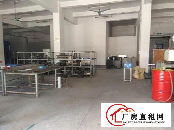  东城桑园新出独门独院标准厂房785平招租，厂房形象