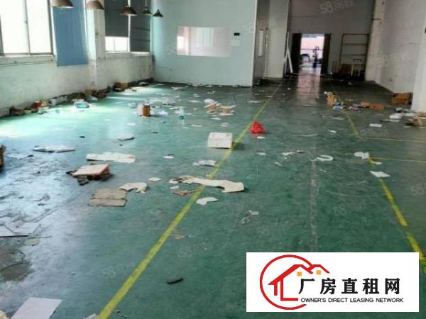  寮步竹园信义学校附近标准厂房分租一楼500方二楼600方