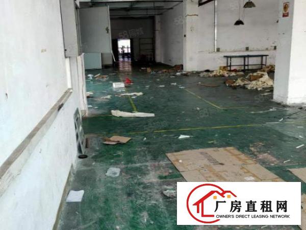  寮步竹园信义学校附近标准厂房分租一楼500方二楼600方