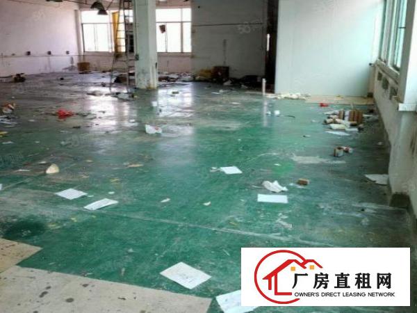 寮步竹园信义学校附近标准厂房分租一楼500方二楼600方