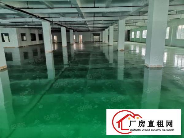  全新7层原房厂房12500玻璃外墙1楼7米2部3吨电梯