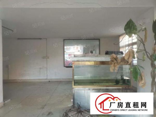  东城牛山工业区新出原房东单一层2100平方，滴水9米可办环评