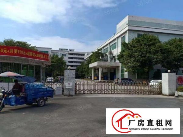  独门独院空地大实际面积出租无公摊现成环评可做任何行业
