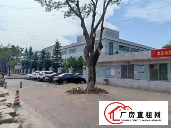  独门独院空地大实际面积出租无公摊现成环评可做任何行业