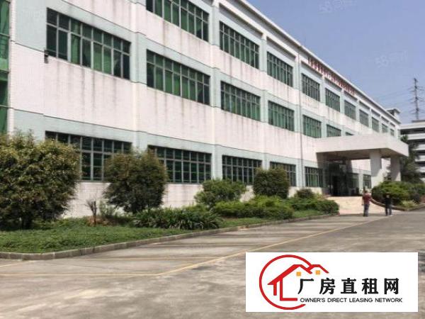  独门独院空地大实际面积出租无公摊现成环评可做任何行业