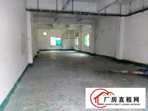  独院单一层260方厂房办公室出租
