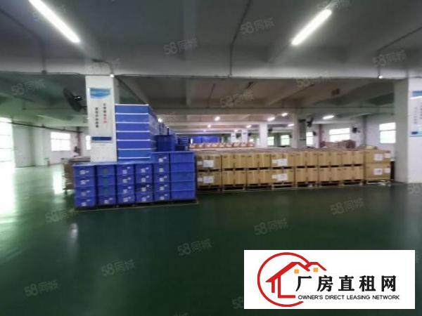  东城温塘环城路附近新出原房独院厂房11000平方适合家具行业
