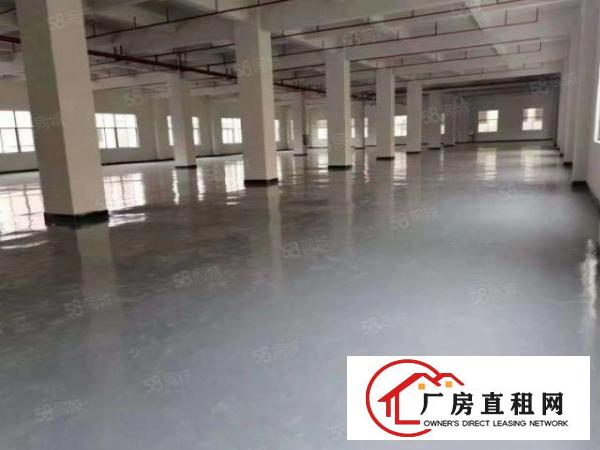  东城温塘环城路附近新出原房独院厂房11000平方适合家具行业