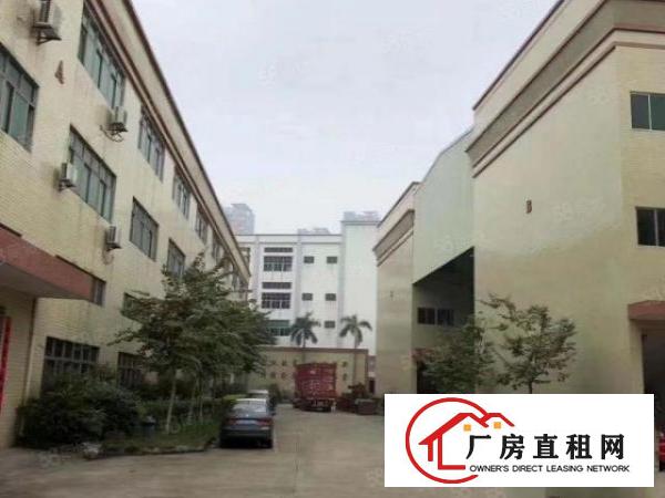  周屋工业区新出一楼1080平楼高6.5米水电齐全