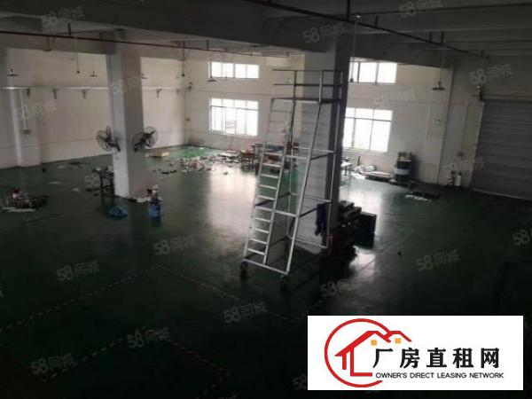  周屋工业区新出一楼1080平楼高6.5米水电齐全