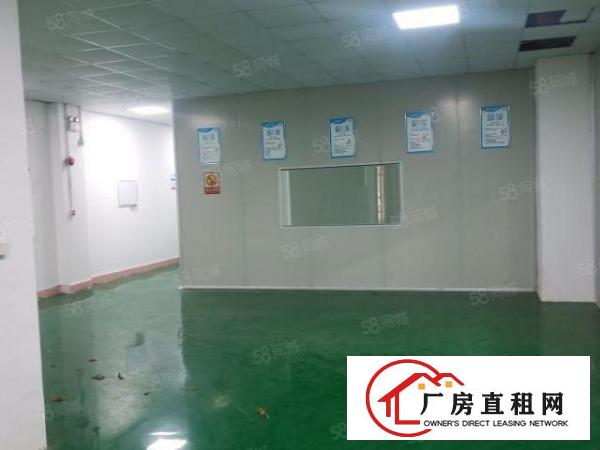  东城桑园原房东花园式厂房出租形象漂亮现成装修交通方便可办环坪