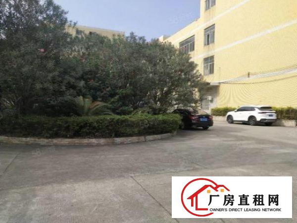  温塘桑园无尘车间厂房分租可做仓库口罩医疗
