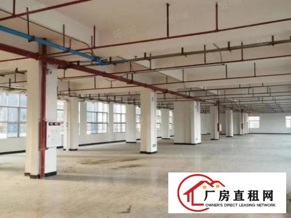  东城同沙标准独院厂房600平方出租现成装修