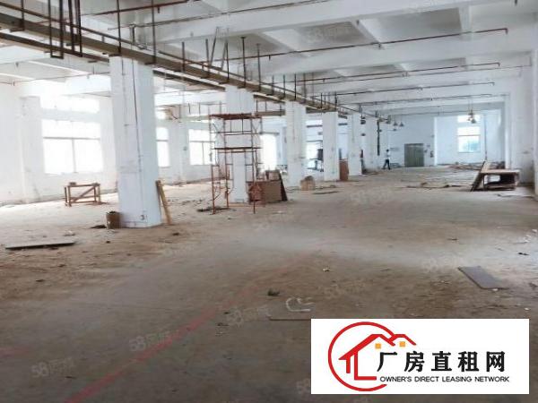  东城新空出标准厂房可办环评，适合任何行业，大小可分租整租