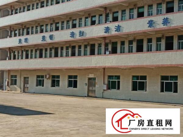 东城新空出标准厂房可办环评，适合任何行业，大小可分租整租