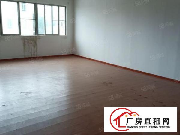  东城新空出标准厂房可办环评，适合任何行业，大小可分租整租
