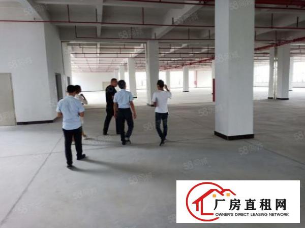  东城新空出标准厂房可办环评，适合任何行业，大小可分租整租