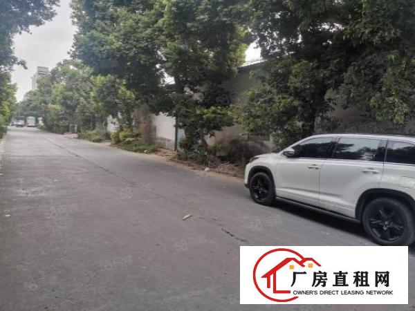  环城路附近刚刚空出850平单一层厂房已全面翻新，出入十分方便