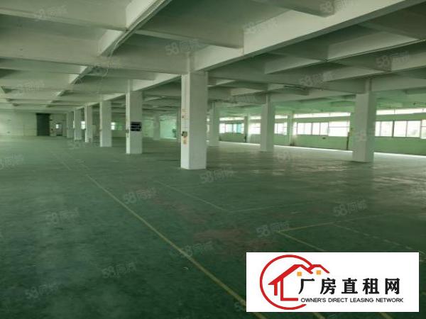  东城石井附近独院高大尚厂房出租分租，面积大小可分租，可办环评