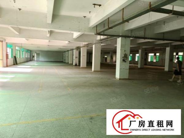  东城石井附近独院高大尚厂房出租分租，面积大小可分租，可办环评