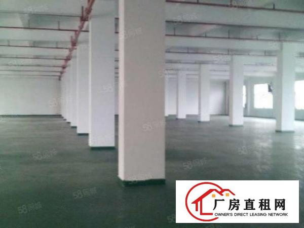  牛山花园式厂房出租，10000平大小可分!便宜，带环评！