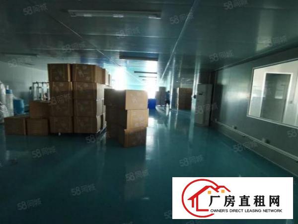  东城新出一楼300平，楼上600平，800平，带装修，地段好