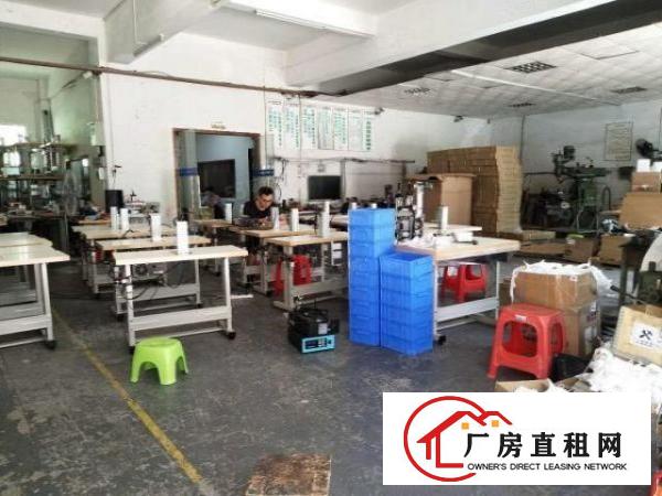  东城峡口500平方厂房出租,可做仓库,租金便宜急