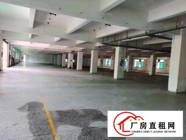  刚刚新出东站附近标准厂房，大小可分，位置好，便宜租
