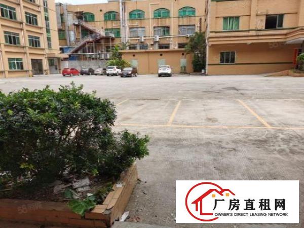  刚刚新出东站附近标准厂房，大小可分，位置好，便宜租
